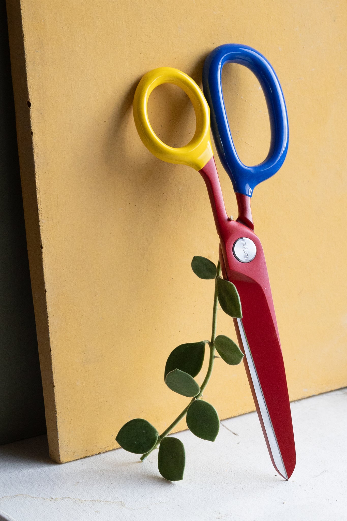 Chroma Scissors