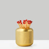 dataVariant_Brass