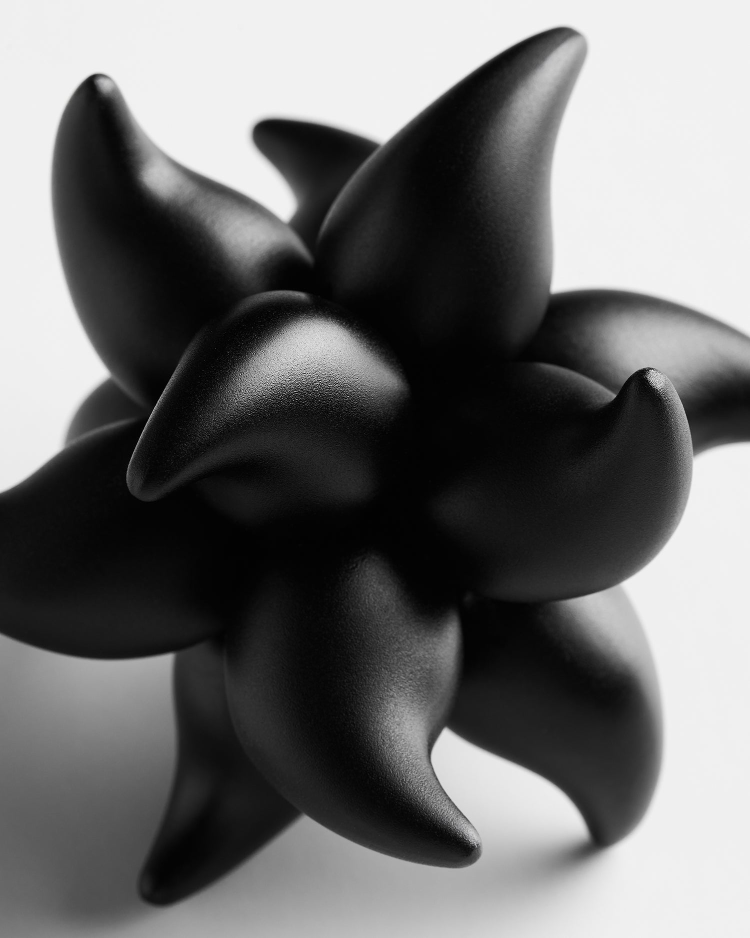 Andromeda Puzzle – Craighill