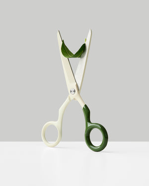 Cream + Forest Green