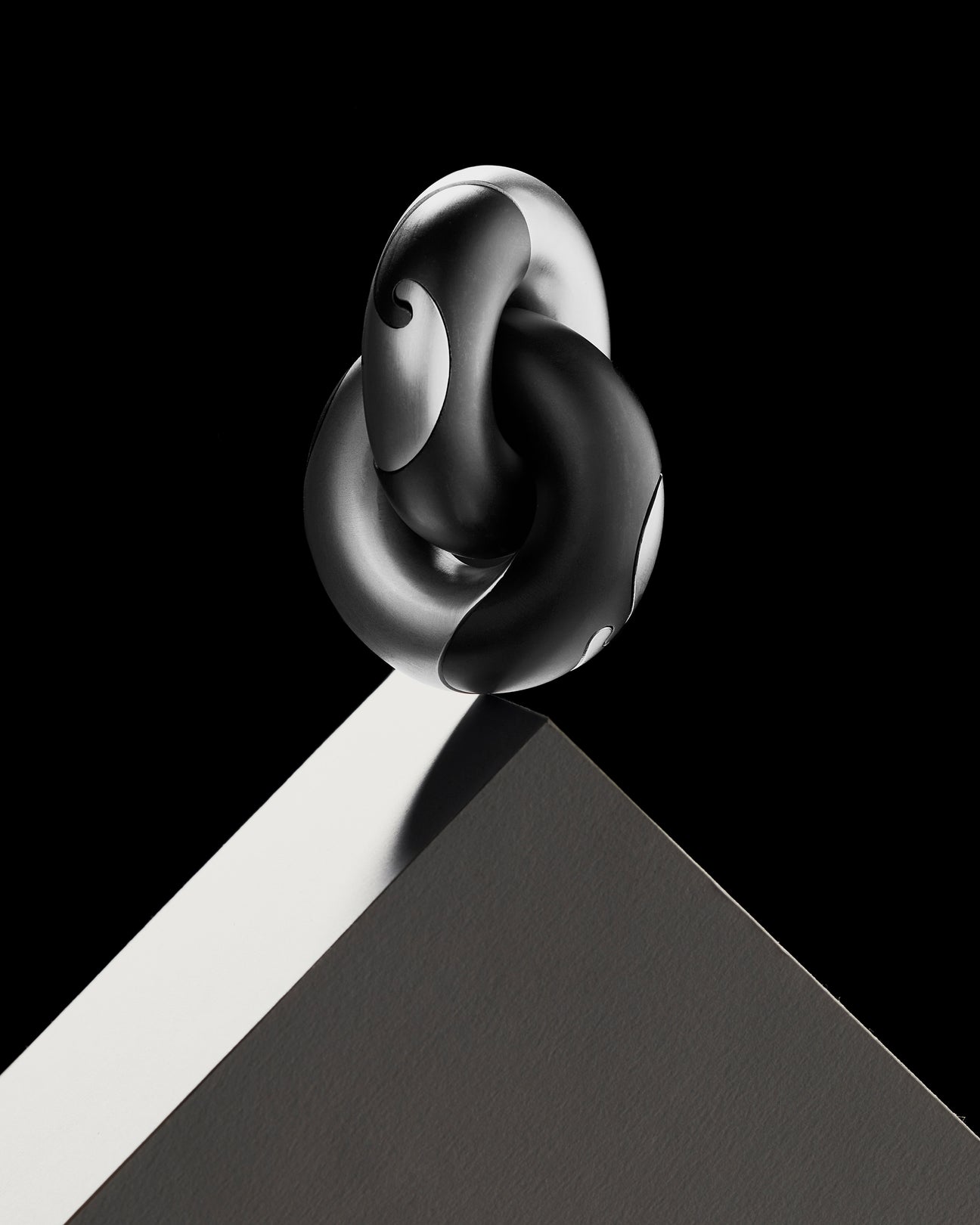 Wavelinks Puzzle Craighill 新品　知恵の輪 Wavelinks Puzzle – Craighill